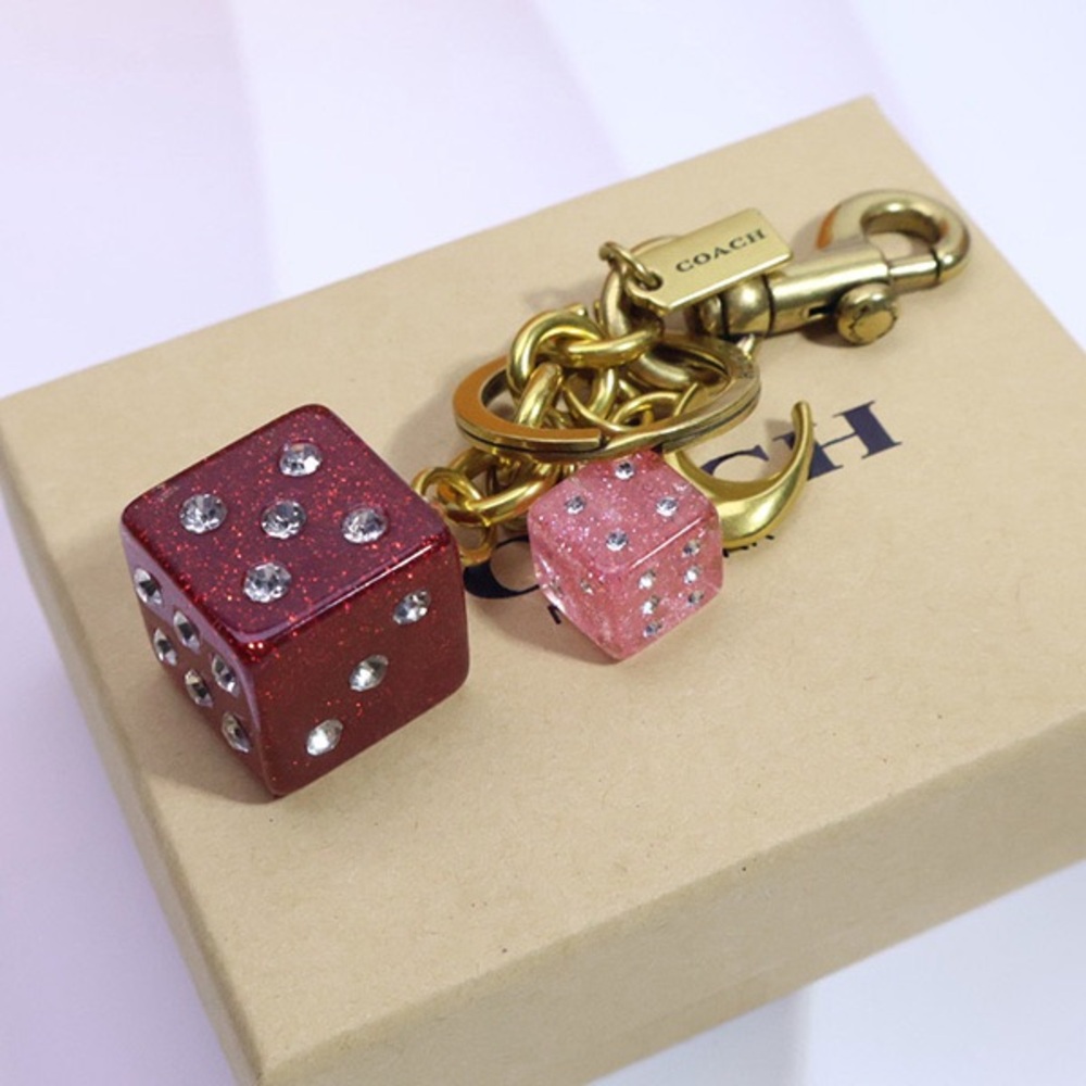Coach Sieve Keychain Bag Charm - Picture 3 of 6
